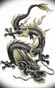 Фото рисунка тату дракон 12.10.2018 №255 - dragon tattoo - tattoo-photo.ru