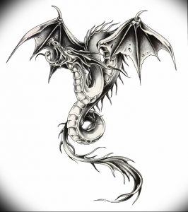 Фото рисунка тату дракон 12.10.2018 №265 - dragon tattoo - tattoo-photo.ru