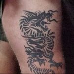 Фото рисунка тату дракон 12.10.2018 №271 - dragon tattoo - tattoo-photo.ru