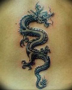Фото рисунка тату дракон 12.10.2018 №318 - dragon tattoo - tattoo-photo.ru