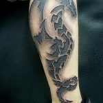 Фото рисунка тату дракон 12.10.2018 №355 - dragon tattoo - tattoo-photo.ru