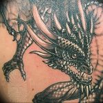 Фото рисунка тату дракон 12.10.2018 №360 - dragon tattoo - tattoo-photo.ru