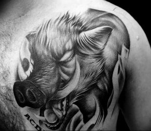 Фото рисунка тату кабан 11.10.2018 №008 - boar tattoo - tattoo-photo.ru