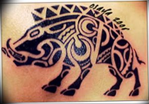 Фото рисунка тату кабан 11.10.2018 №021 - boar tattoo - tattoo-photo.ru