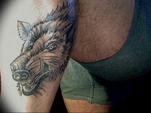 Фото рисунка тату кабан 11.10.2018 №035 - boar tattoo - tattoo-photo.ru