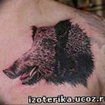 Фото рисунка тату кабан 11.10.2018 №120 - boar tattoo - tattoo-photo.ru