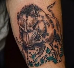 Фото рисунка тату кабан 11.10.2018 №127 - boar tattoo - tattoo-photo.ru
