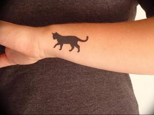 Фото рисунка тату кошка 09.10.2018 №026 - cat tattoo - tattoo-photo.ru
