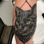 Фото рисунка тату кошка 09.10.2018 №047 - cat tattoo - tattoo-photo.ru