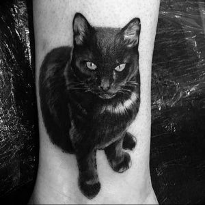 Фото рисунка тату кошка 09.10.2018 №052 - cat tattoo - tattoo-photo.ru