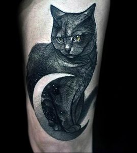 Фото рисунка тату кошка 09.10.2018 №054 - cat tattoo - tattoo-photo.ru
