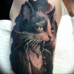 Фото рисунка тату кошка 09.10.2018 №071 - cat tattoo - tattoo-photo.ru