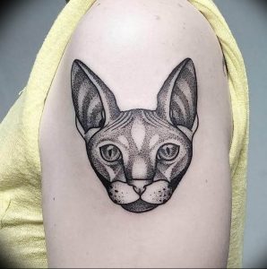 Фото рисунка тату кошка 09.10.2018 №084 - cat tattoo - tattoo-photo.ru