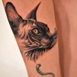 Фото рисунка тату кошка 09.10.2018 №087 - cat tattoo - tattoo-photo.ru