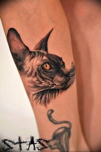 Фото рисунка тату кошка 09.10.2018 №087 - cat tattoo - tattoo-photo.ru