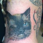 Фото рисунка тату кошка 09.10.2018 №093 - cat tattoo - tattoo-photo.ru