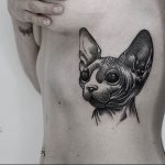 Фото рисунка тату кошка 09.10.2018 №097 - cat tattoo - tattoo-photo.ru