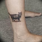 Фото рисунка тату кошка 09.10.2018 №106 - cat tattoo - tattoo-photo.ru