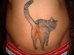 Фото рисунка тату кошка 09.10.2018 №107 - cat tattoo - tattoo-photo.ru