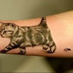 Фото рисунка тату кошка 09.10.2018 №108 - cat tattoo - tattoo-photo.ru