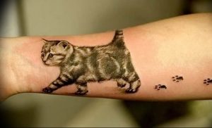 Фото рисунка тату кошка 09.10.2018 №108 - cat tattoo - tattoo-photo.ru