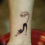 Фото рисунка тату кошка 09.10.2018 №136 - cat tattoo - tattoo-photo.ru