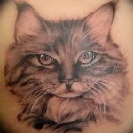 Фото рисунка тату кошка 09.10.2018 №174 - cat tattoo - tattoo-photo.ru