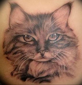 Фото рисунка тату кошка 09.10.2018 №174 - cat tattoo - tattoo-photo.ru