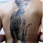 Фото рисунка тату кошка 09.10.2018 №179 - cat tattoo - tattoo-photo.ru