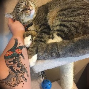 Фото рисунка тату кошка 09.10.2018 №186 - cat tattoo - tattoo-photo.ru