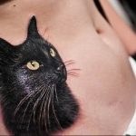 Фото рисунка тату кошка 09.10.2018 №190 - cat tattoo - tattoo-photo.ru