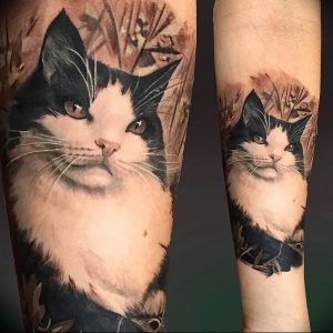 Фото рисунка тату кошка 09.10.2018 №192 - cat tattoo - tattoo-photo.ru
