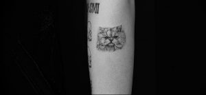 Фото рисунка тату кошка 09.10.2018 №210 - cat tattoo - tattoo-photo.ru