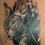 Фото рисунка тату кошка 09.10.2018 №223 - cat tattoo - tattoo-photo.ru