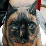 Фото рисунка тату кошка 09.10.2018 №224 - cat tattoo - tattoo-photo.ru