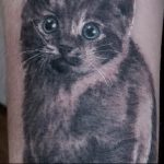 Фото рисунка тату кошка 09.10.2018 №235 - cat tattoo - tattoo-photo.ru