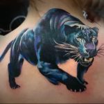 Фото рисунка тату кошка 09.10.2018 №238 - cat tattoo - tattoo-photo.ru