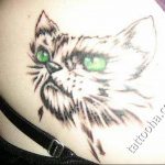 Фото рисунка тату кошка 09.10.2018 №261 - cat tattoo - tattoo-photo.ru