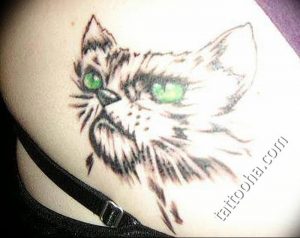Фото рисунка тату кошка 09.10.2018 №261 - cat tattoo - tattoo-photo.ru