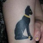 Фото рисунка тату кошка 09.10.2018 №262 - cat tattoo - tattoo-photo.ru