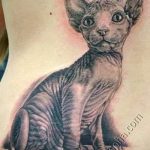 Фото рисунка тату кошка 09.10.2018 №270 - cat tattoo - tattoo-photo.ru