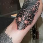 Фото рисунка тату кошка 09.10.2018 №277 - cat tattoo - tattoo-photo.ru