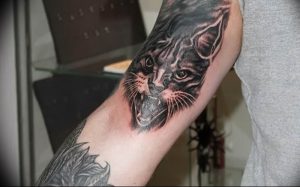 Фото рисунка тату кошка 09.10.2018 №277 - cat tattoo - tattoo-photo.ru