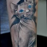 Фото рисунка тату кошка 09.10.2018 №282 - cat tattoo - tattoo-photo.ru
