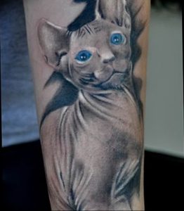 Фото рисунка тату кошка 09.10.2018 №282 - cat tattoo - tattoo-photo.ru