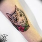 Фото рисунка тату кошка 09.10.2018 №286 - cat tattoo - tattoo-photo.ru