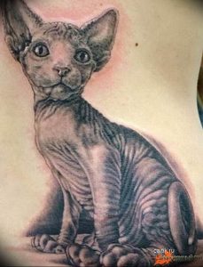 Фото рисунка тату кошка 09.10.2018 №289 - cat tattoo - tattoo-photo.ru