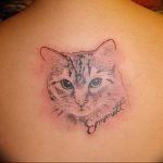 Фото рисунка тату кошка 09.10.2018 №296 - cat tattoo - tattoo-photo.ru