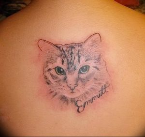 Фото рисунка тату кошка 09.10.2018 №296 - cat tattoo - tattoo-photo.ru