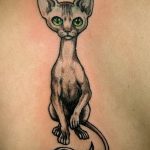 Фото рисунка тату кошка 09.10.2018 №300 - cat tattoo - tattoo-photo.ru